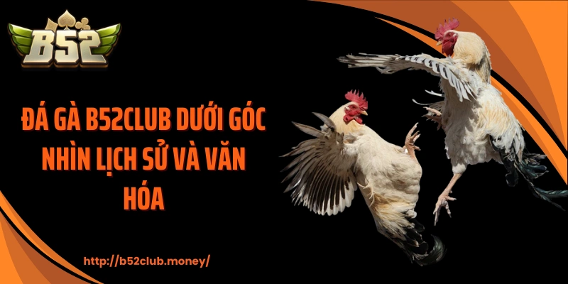 Đá gà B52CLUB dưới góc nhìn lịch sử và văn hóa
